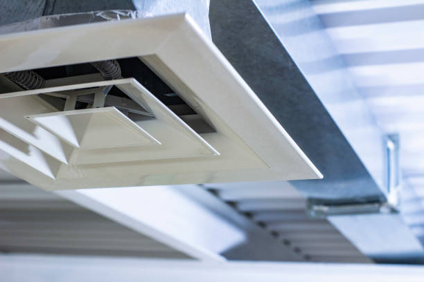 Best Affordable Duct Cleaning Services  in Dryden, MI