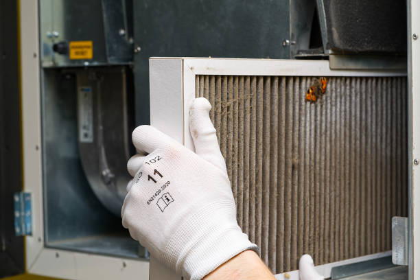 Air Duct Mold Removal in Dryden, MI
