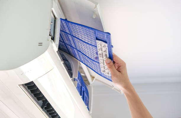 Best Home Air Vent Cleaning  in Dryden, MI