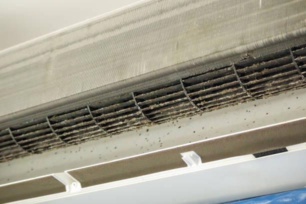 Best Best Air Duct Cleaning Company  in Dryden, MI